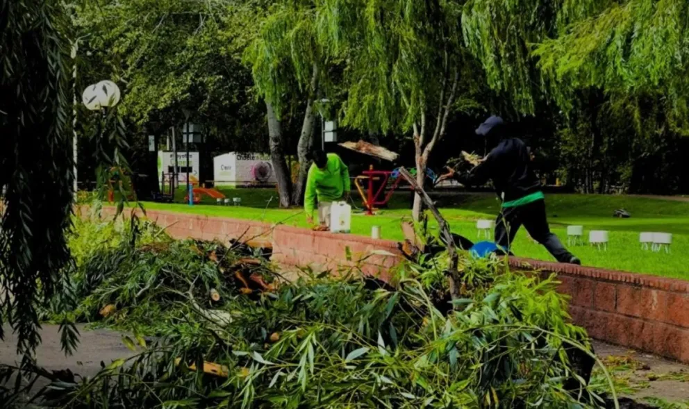 Cuadrillas municipales trabajaron durante toda la jornada retirando ramas, árboles y residuos que quedaron en la vía pública tras el temporal en Choele Choel.