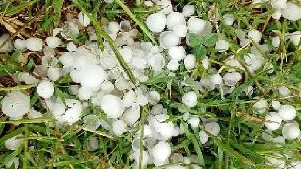 El Gobernador Alberto Weretilneck confirmó el apoyo de la Provincia a cada productor afectadoCrédito: Gobierno de Río Negro