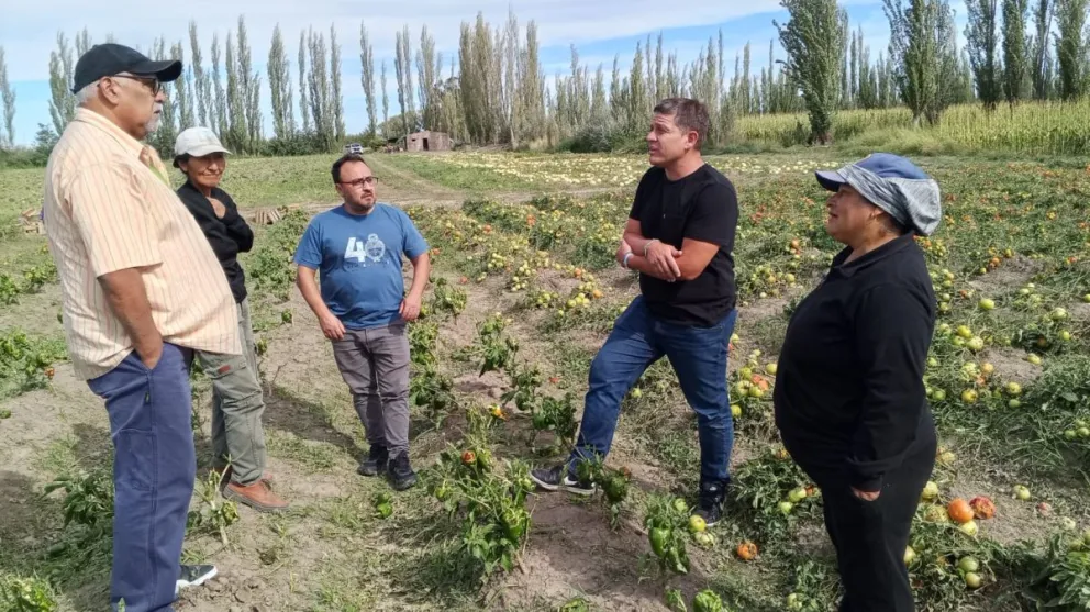 La recorrida incluyó establecimientos rurales con pérdidas productivas y forma parte de un relevamiento integral en distintas localidades del Valle Medio.