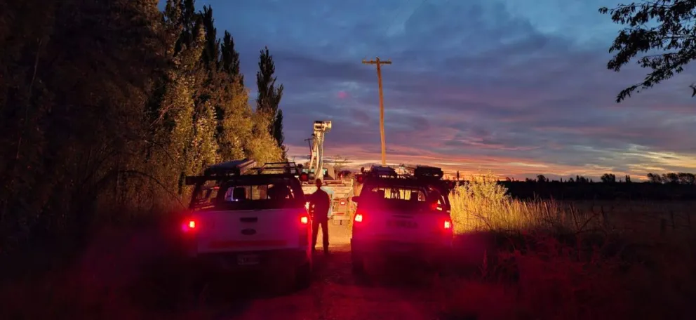 El operativo incluye camiones con grúa, camionetas y cuadrillas que avanzan en sectores rurales donde recién este miércoles se logró acceder.