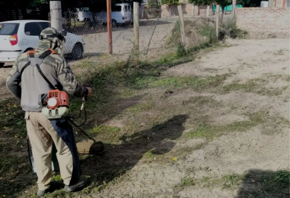Desde el área correspondiente se informó que los vecinos que sean notificados deberán realizar la limpieza en un plazo de siete días corridos, según lo establece la Ordenanza N° 034/2016.