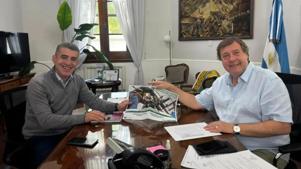 La localidad se moderniza con nueva luminaria