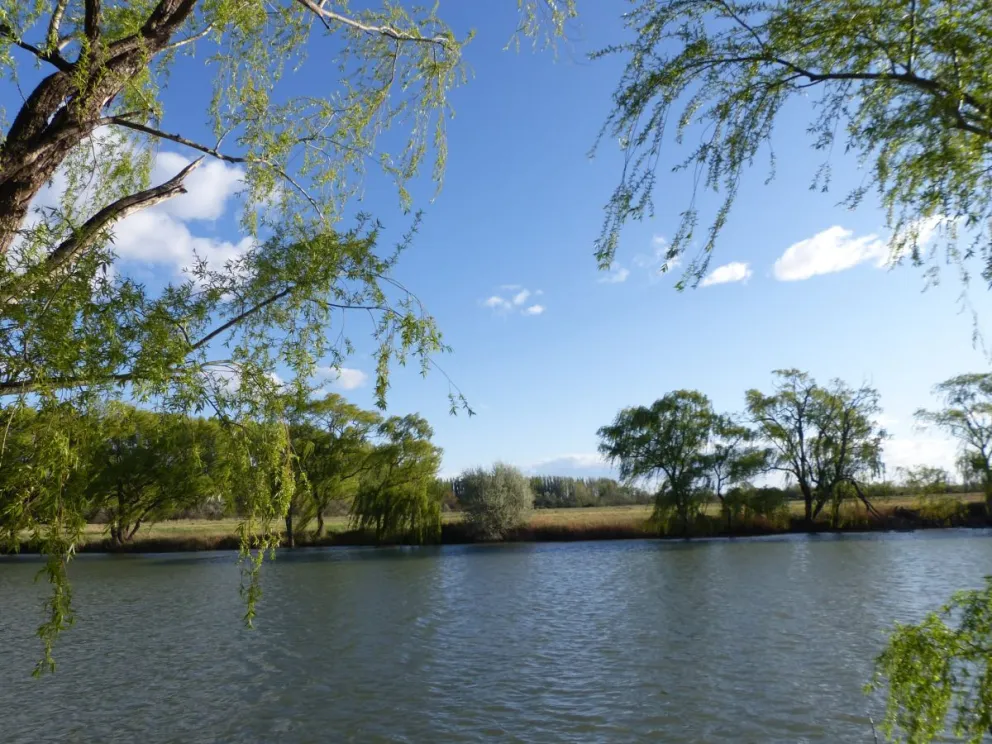 Chimpay recibe una nueva edición del concurso de pesca para niños y adolescentes.