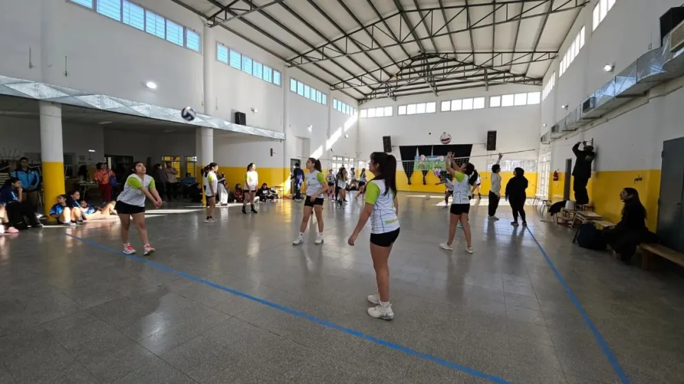 Están destinados a estudiantes primarios y secundarios en las categorías escolares Colegial I y II.