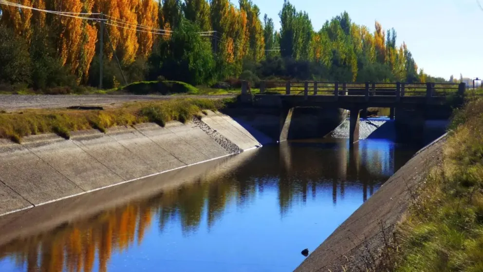 Son acciones fundamentales para contar con un servicio más eficiente y seguro.