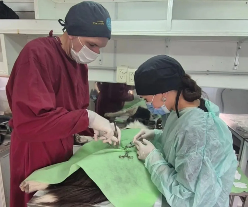 La jornada se realizó en el CIC con una importante participación de vecinos.