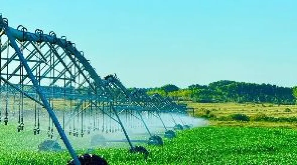 Río Negro avanza en un esquema concreto para producir más y mejor.Crédito: Gobierno de Río Negro