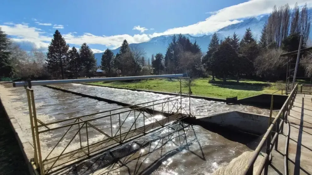 Las obras se ejecutan con financiamiento internacional gestionado a través de UPCEFE.