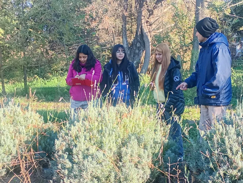 Alumnas del CET 29 comenzarán sus prácticas profesionalizantes en la Chacra Experimental.