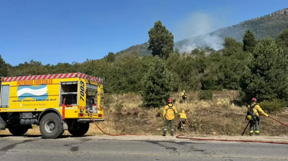 La Provincia sostiene desde hace años una estrategia integral de prevención
Crédito: Gobierno de Río Negro