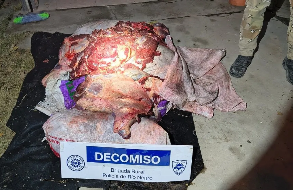 Los 210 kilos de carne vacuna eran transportados en bolsas de alimento balanceado y sin las condiciones sanitarias exigidas por la normativa vigente.