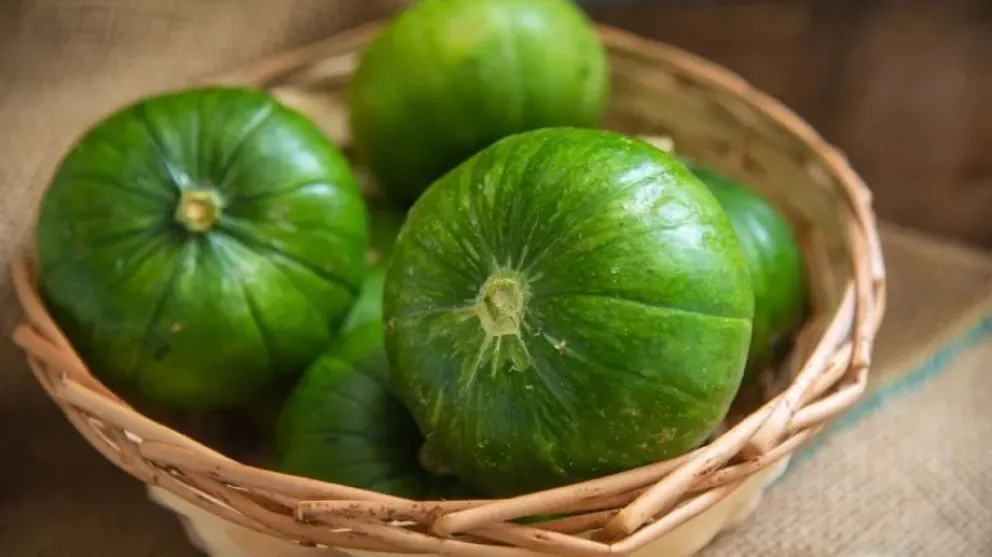 El Documento de Tránsito Vegetal electrónico será obligatorio para el traslado de zapallo, zapallito, zucchini y zanahoria en todo el país. Foto: web.