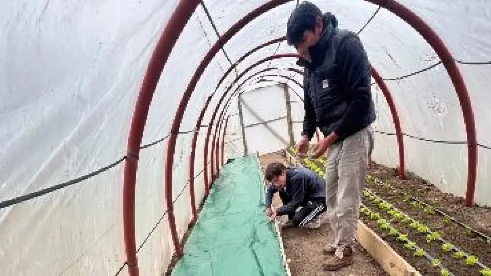 La iniciativa representa oportunidades para aprender y para fomentar el desarrollo de la comunidad.Crédito: Gobierno de Río Negro