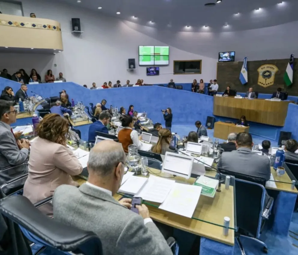 La nueva ley habilita a la Policía de Río Negro a incorporar pistolas Taser y otros dispositivos menos letales, siempre bajo protocolos específicos y con capacitación obligatoria para los efectivos. Foto: gentileza.