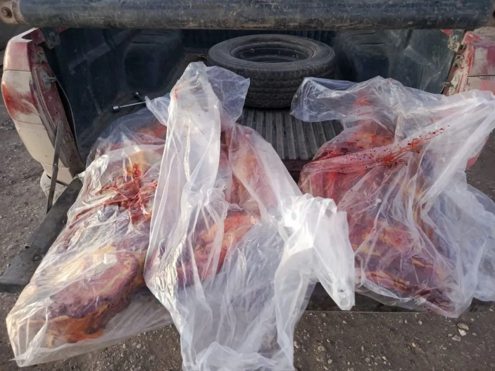 La carne era transportada en una camioneta sin habilitación sanitaria ni documentación respaldatoria. El producto fue decomisado e incinerado tras el operativo realizado por la Brigada Rural de Río Colorado. Foto: gentileza.