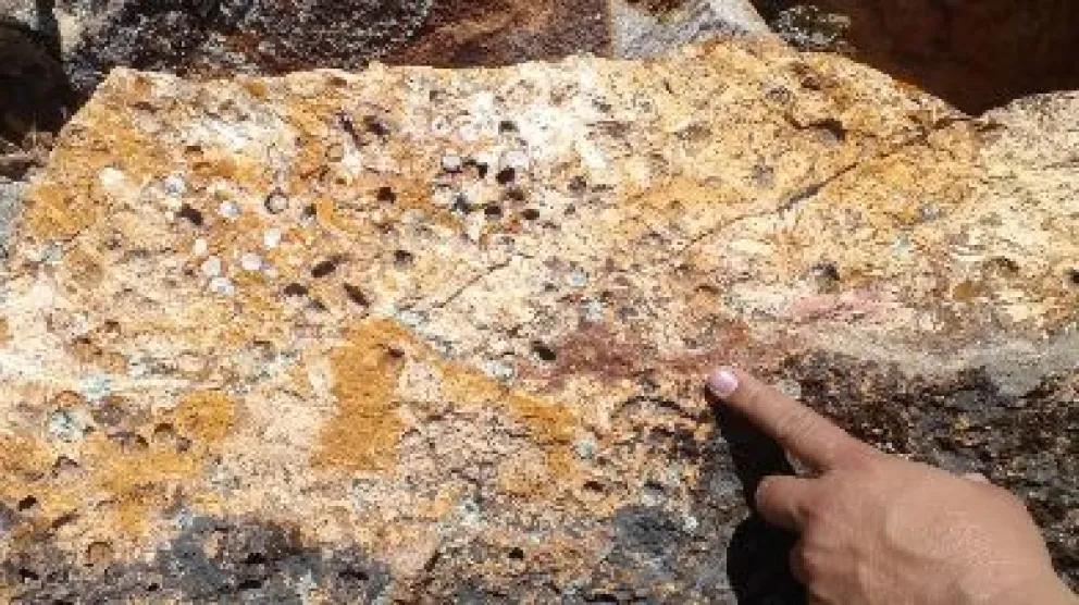 Conocer el patrimonio del territorio permite potenciar el turismo científico y educativo Crédito: Gobierno de Río Negro