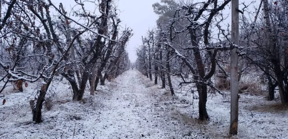 El ingreso de una masa de aire antártico provocará heladas intensas en el Valle Medio, con mínimas de hasta 9 grados bajo cero y condiciones extremas que se extenderán durante las próximas horas. Foto: gentileza.