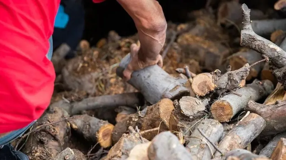 La Municipalidad de Lamarque intensificó la distribución de leña seca para asistir a familias sin acceso al gas, en el marco de las bajas temperaturas que afectan al Valle Medio. Foto: archivo.