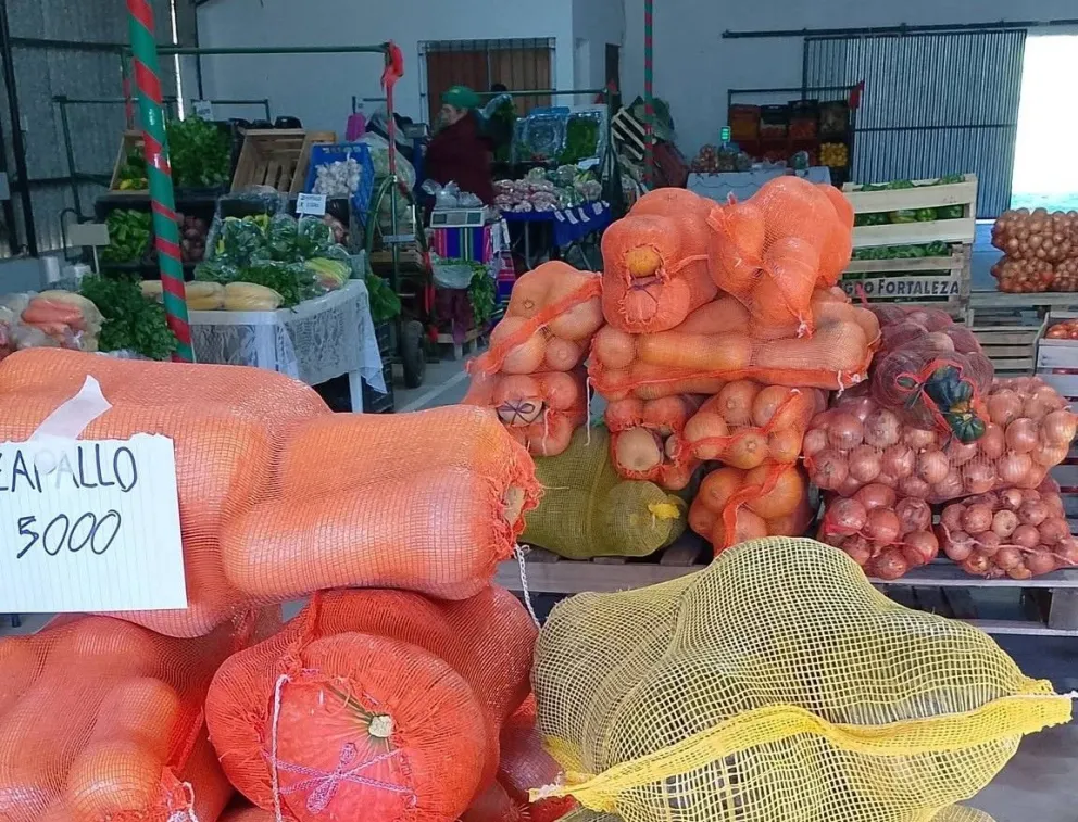 La Feria Municipal de Productores funcionará provisoriamente en el Salón de las Artes para garantizar mejores condiciones de trabajo durante la ola de frío que atraviesa la región. Foto: gentileza.