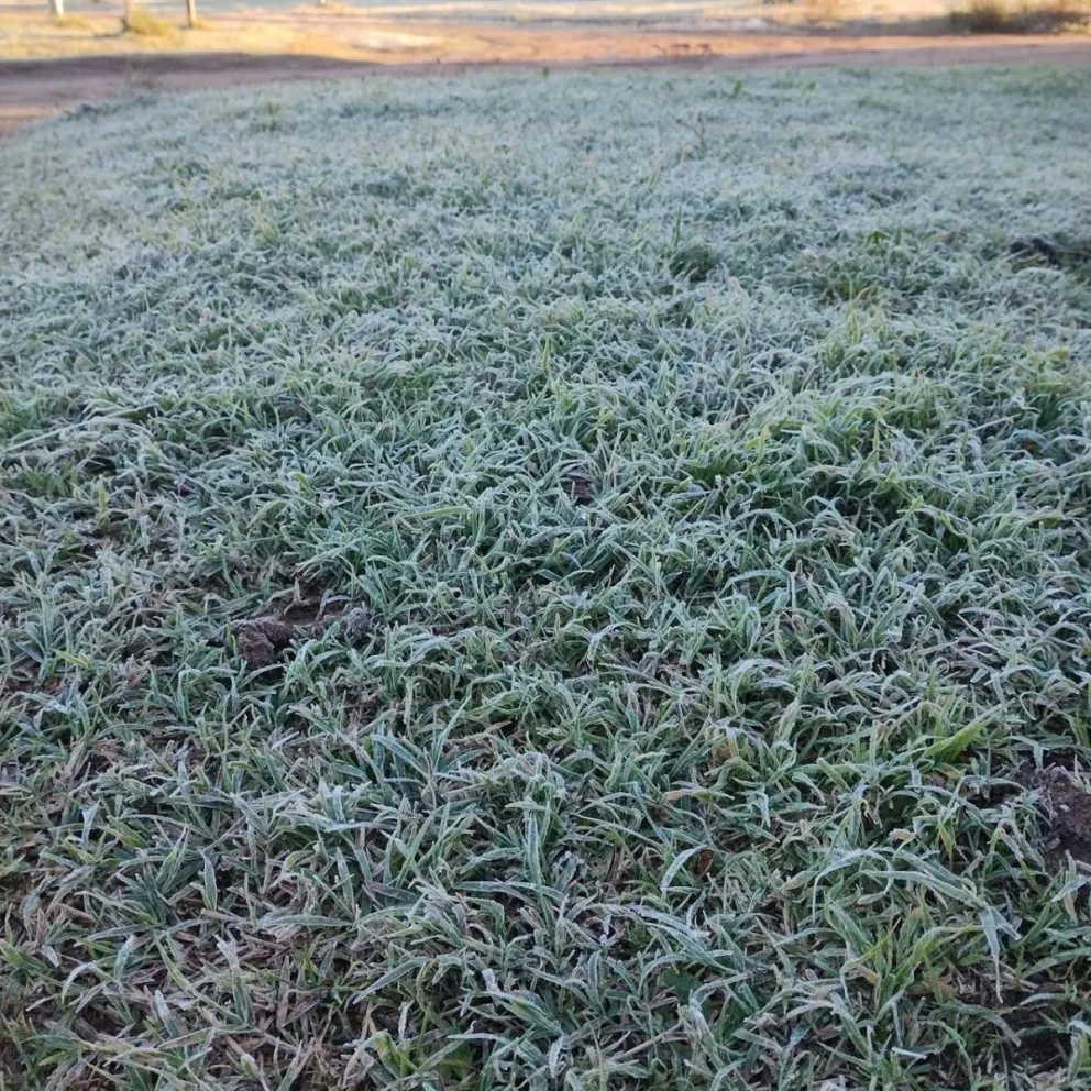 La intensa helada dejó postales completamente blancas en el Valle Medio, donde las temperaturas descendieron hasta los -14 °C en sectores rurales y el frío extremo seguirá presente durante varios días. Foto: gentileza.