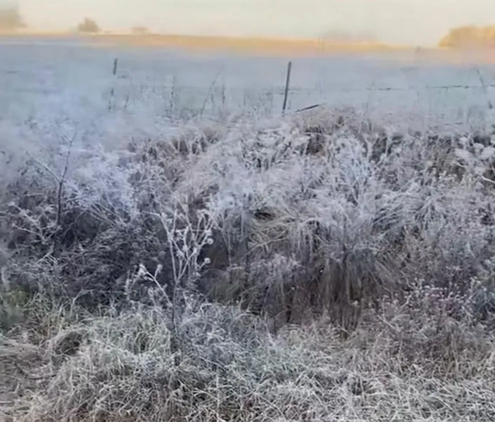 La ola de frío polar dejó temperaturas de hasta -10 °C en el Valle Medio, con intensas heladas que cubrieron rutas, calles y campos de la región. Foto: gentileza.