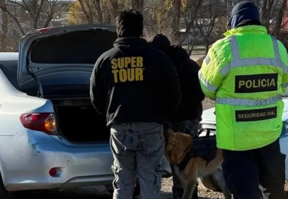 El operativo se desarrolló sobre la Ruta Nacional 250, en el acceso a Choele Choel, con la participación de personal de Toxicomanía de Lamarque y perros adiestrados para la detección de estupefacientes. Foto: gentileza.