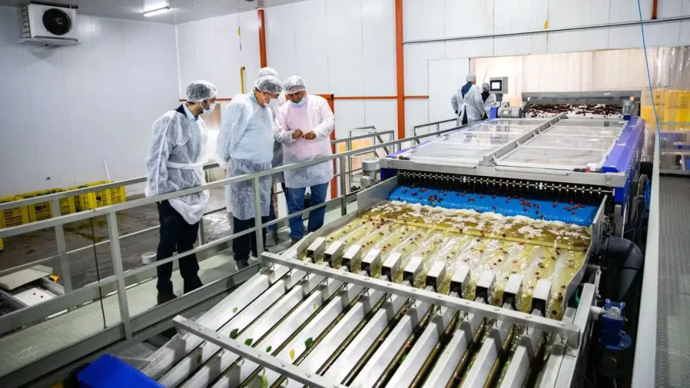 Río Negro se ubica como una de las provincias con mejores condiciones para captar inversiones productivas.
Crédito: Gobierno de Río Negro