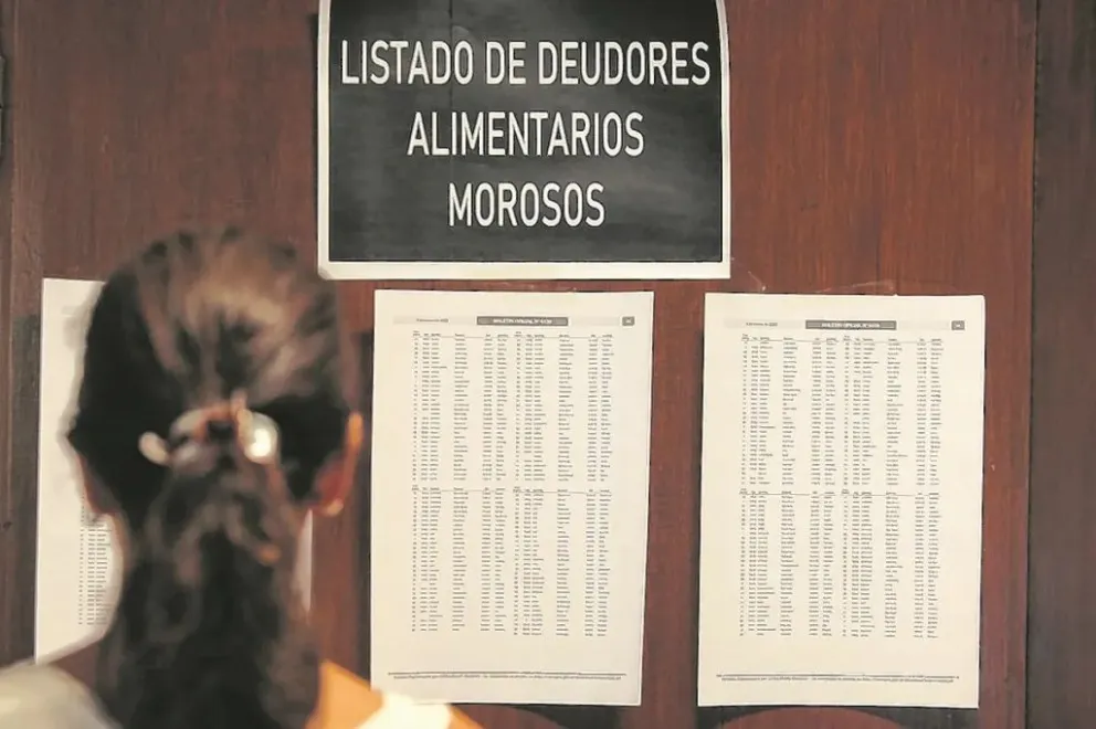 El Concejo Deliberante de Choele Choel aprobó la adhesión a la Ley Provincial N° 3475 y creó el Registro Municipal de Deudores Alimentarios. Foto: web.
