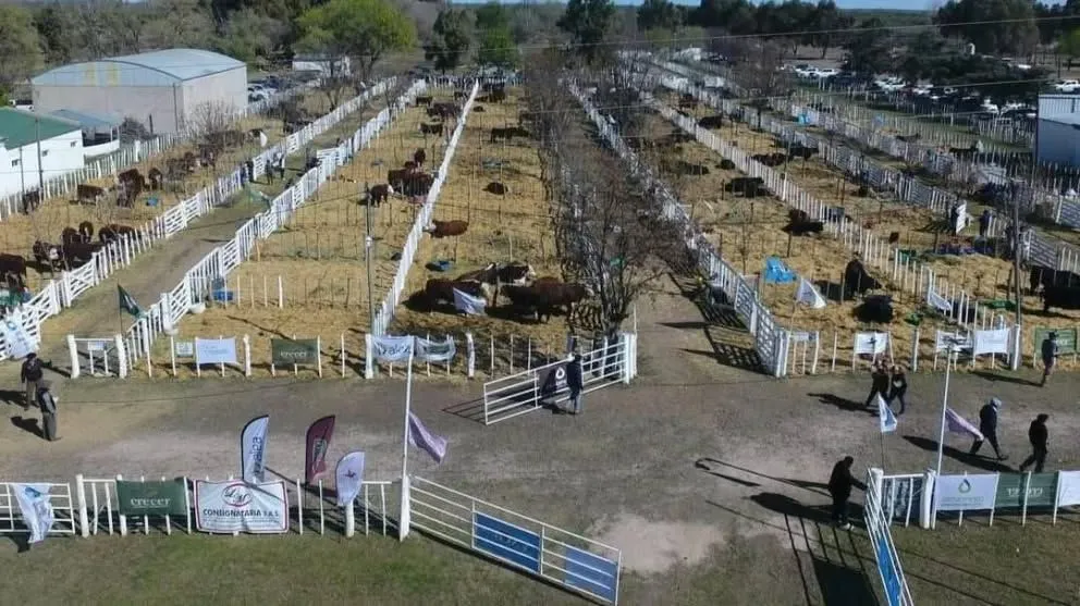 La Sociedad Rural de Choele Choel participó de la Expo Rural de Palermo y ya comenzó la organización de la Expo Rural de Primavera, prevista para fines de septiembre. Foto: gentileza.