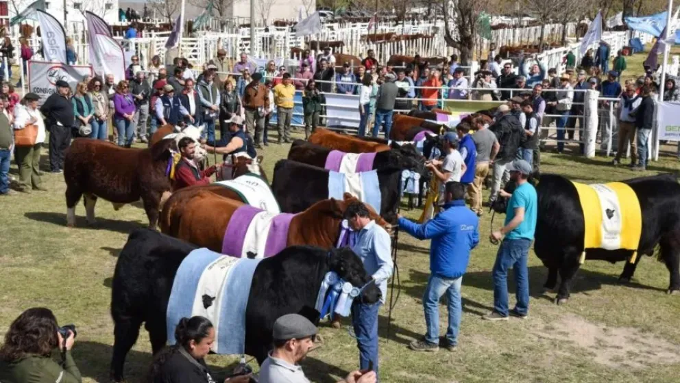 La 49ª Expo Ganadera, Comercial e Industrial de Río Colorado se realizará del 3 al 6 de septiembre. Foto: gentileza.
