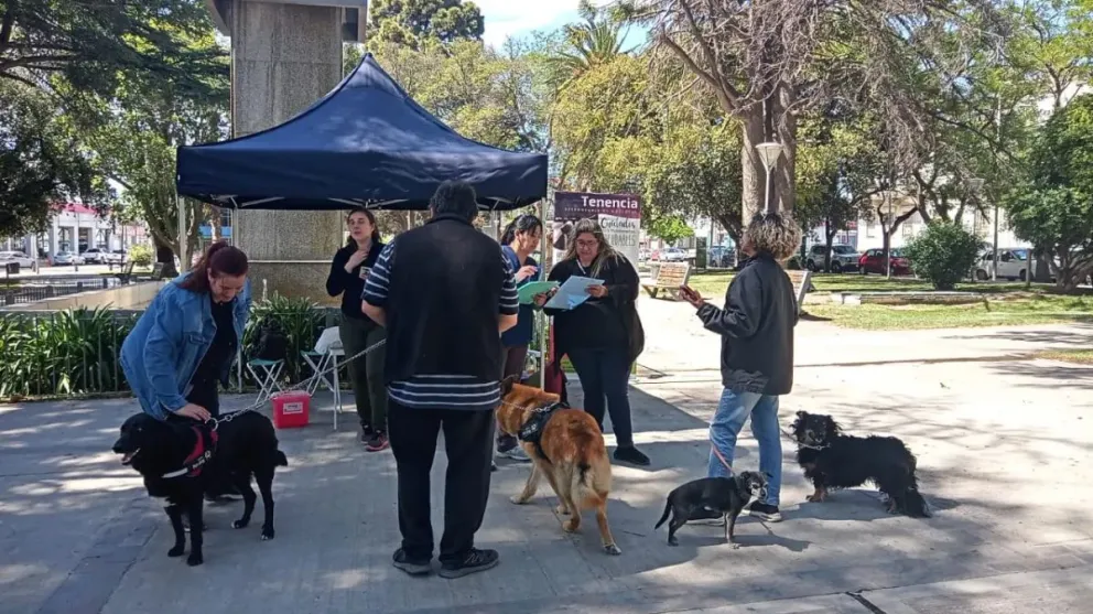 La Provincia reafirma su acompañamiento a los profesionales veterinarios
Crédito: Gobierno de Río Negro