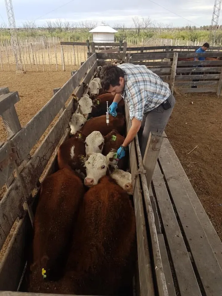 La capacitación incluirá una instancia teórica y una práctica a campo con toros en la Cabaña El Encuentro. Foto: gentileza.