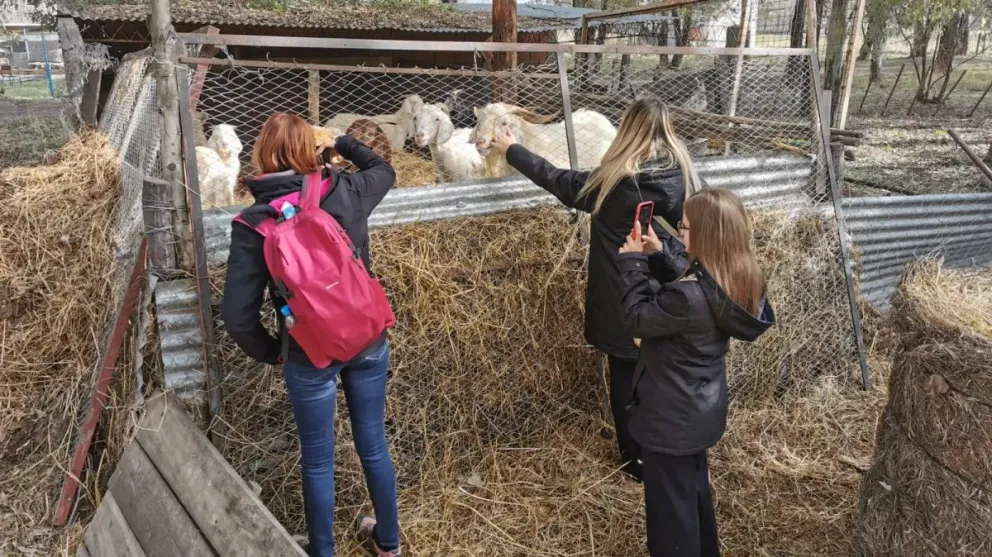 Las estudiantes visitarán la Región Sur y la Zona Andina
Crédito: Gobierno de Río Negro