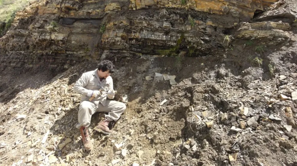 Nuevo hallazgo hace historia en la provincia
Crédito: Gobierno de Río Negro