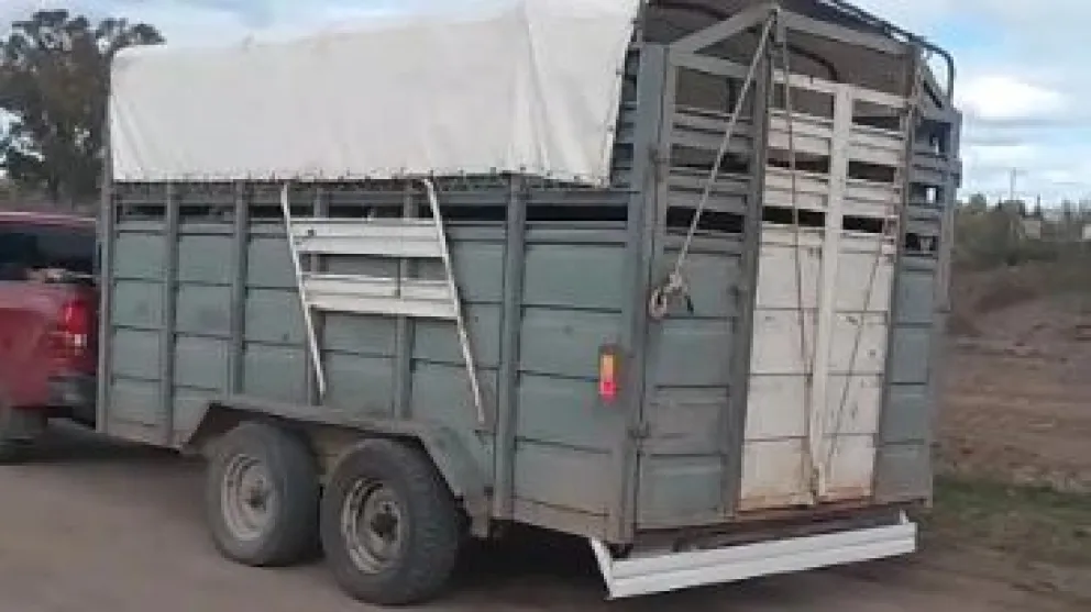 El trabajo coordinado permitió interceptar al vehículo y al carro con los animales.Crédito: Gobierno de Río Negro