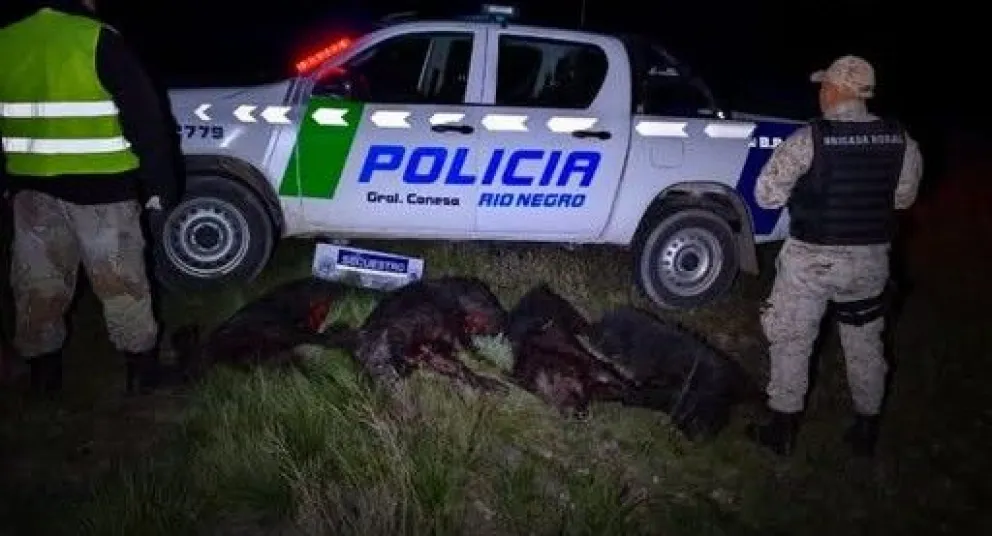 La Brigada Rural de General Conesa realizó el procedimiento durante un control sobre la Ruta Nacional 250. Foto: gentileza.