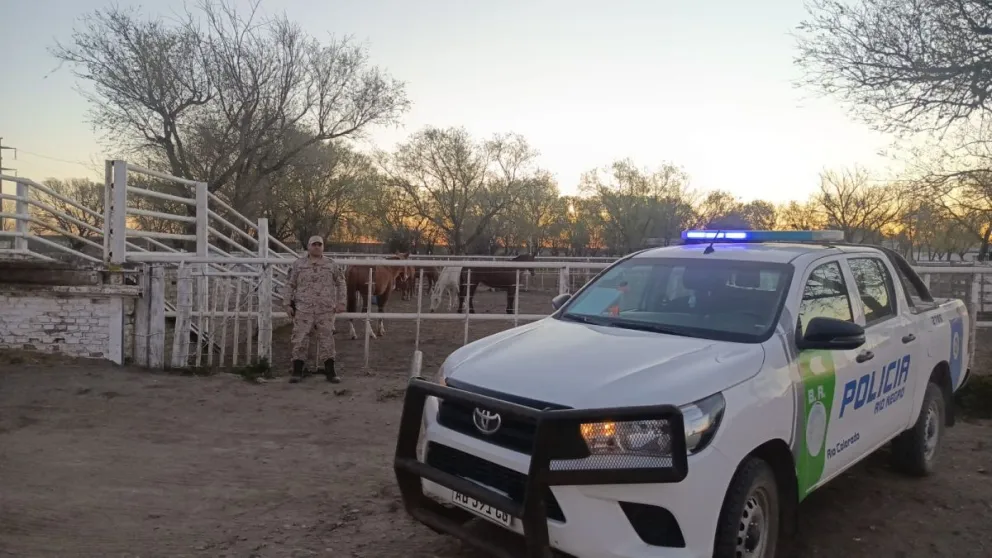 Los cuatro equinos fueron recuperados por personal de la Brigada Rural de Río Colorado en campos cercanos al predio. Foto: gentileza