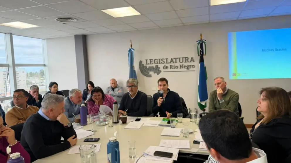 El Ministro Agustín Ríos exponiendo el proyecto.
Crédito: Gobierno de Río Negro