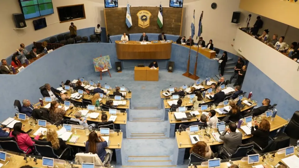El proyecto impulsado por Weretileck fue aprobado por mayoría.
Crédito: Gentileza Legislatura