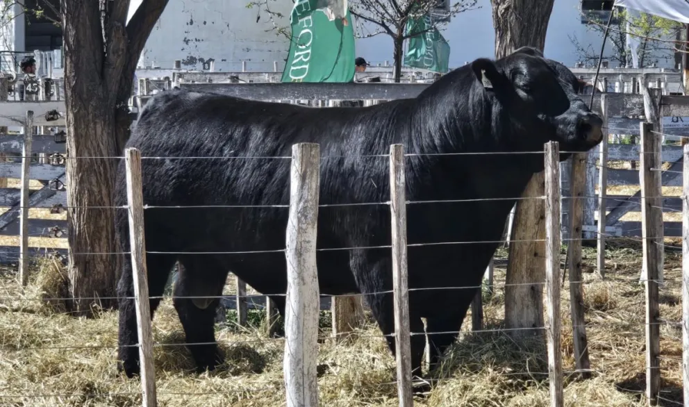 Una de las cabañas ganadoras es del Valle Medio. 