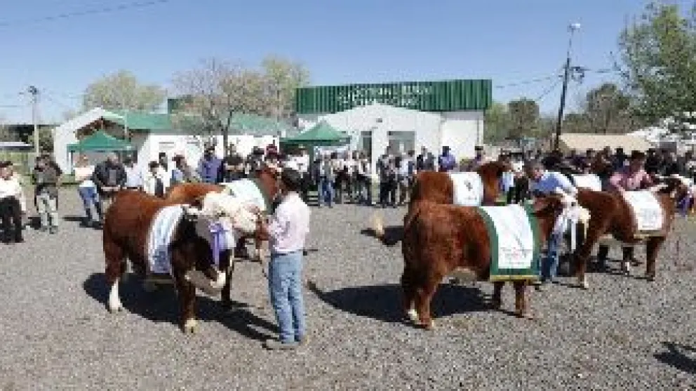 General Roca cerrará el circuito de exposiciones rurales.Crédito: Gobierno de Rio Negro
