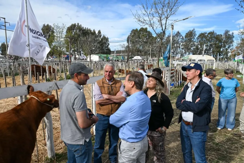 Aníbal Tortoriello recorrió la 46ª Exposición Rural de Choele Choel, destacó el desarrollo de la ganadería patagónica y se refirió a su proyecto político de cara a 2027. Foto: gentileza.