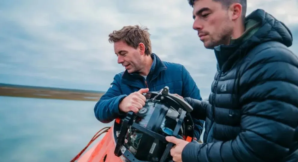 Investigadores utilizan cámaras submarinas de National Geographic para estudiar la biodiversidad del Golfo San Matías, en sectores ubicados entre los 100 y 200 metros de profundidad. Foto: gentileza.