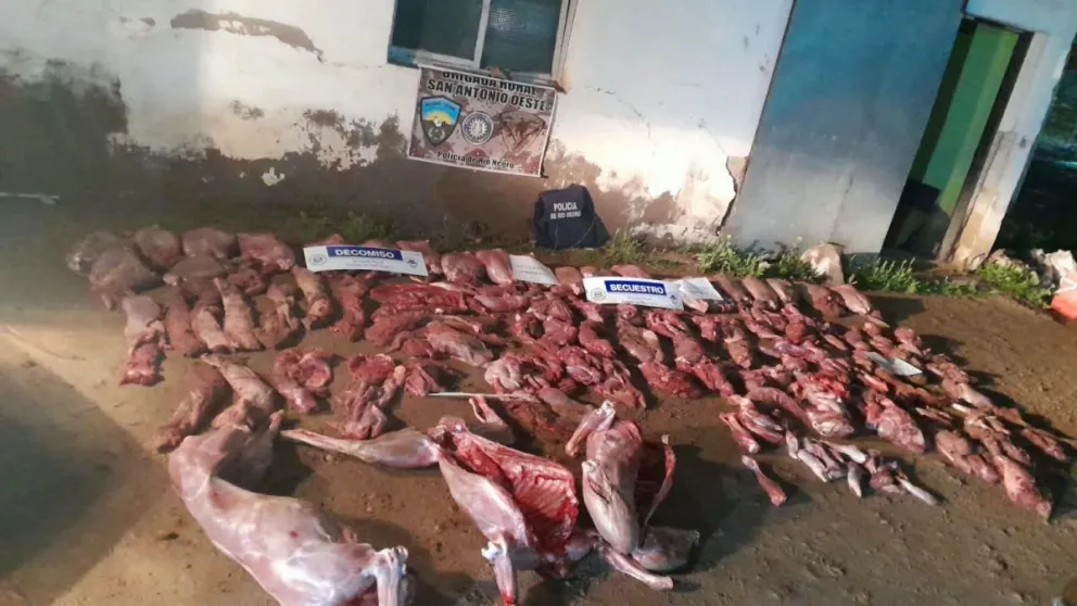La Brigada Rural de San Antonio Oeste secuestró unos 460 kilos de carne de guanaco durante un control en la zona rural de Valcheta. Foto: gentileza.