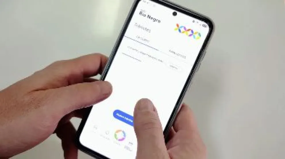La app permitirá agilizar los trámites de los rionegrinos. Crédito: Gobierno de Rio Negro
