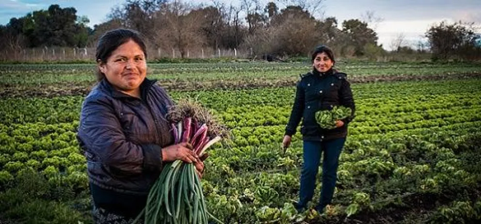 Cada 15 de octubre se conmemora el Día Internacional de la Mujer Rural, una fecha que reconoce el trabajo de las mujeres en la producción agropecuaria, el sostenimiento de las familias y el desarrollo de las comunidades. Foto: gentileza.