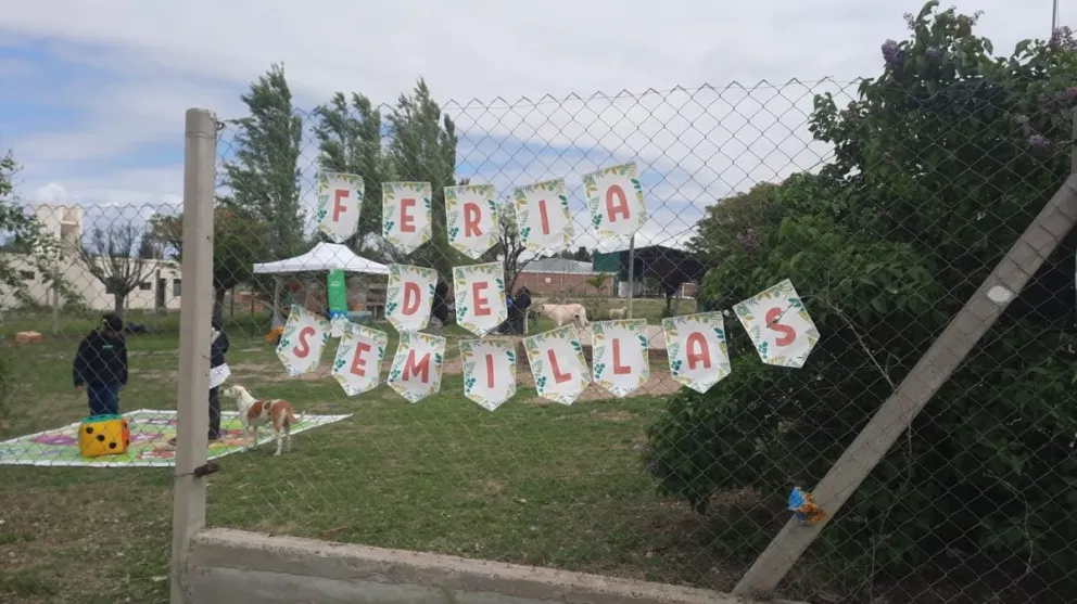 La cuarta Feria de Semillas, Plantines y Saberes reunió en la Escuela Secundaria de Darwin a estudiantes, instituciones y vecinos en una jornada de intercambio y educación ambiental. Foto: gentileza.