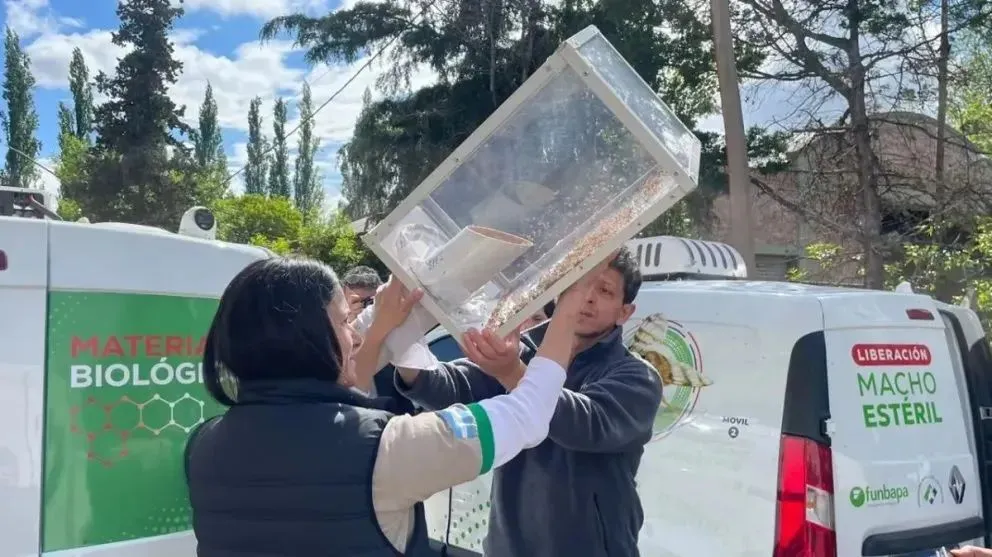 La liberación se realizó en Allen. Foto gentileza Gobierno de Río Negro.