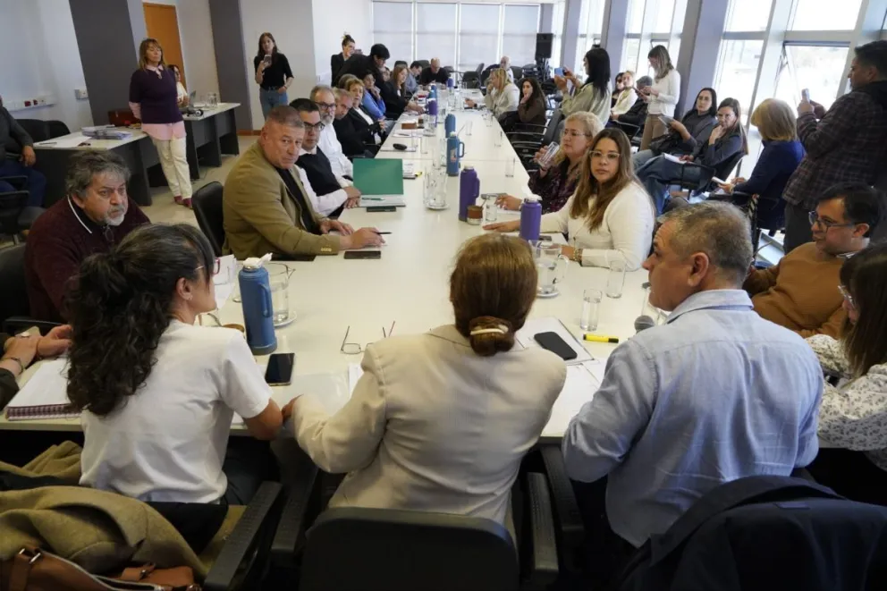 La Comisión de Cultura, Educación y Comunicación Social de la Legislatura de Río Negro respaldó por unanimidad el proyecto para actualizar la normativa provincial de prevención del grooming. Foto: gentileza.