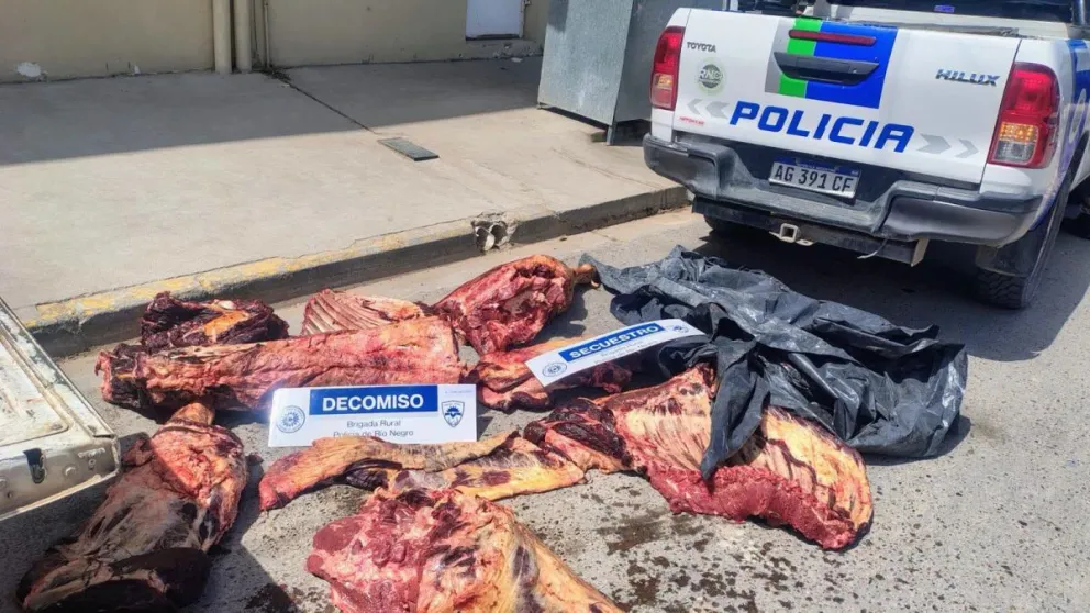 La Brigada Rural de San Antonio Oeste decomisó aproximadamente 300 kilos de carne que eran transportados en una camioneta Toyota Hilux en Las Grutas. Foto: gentileza.